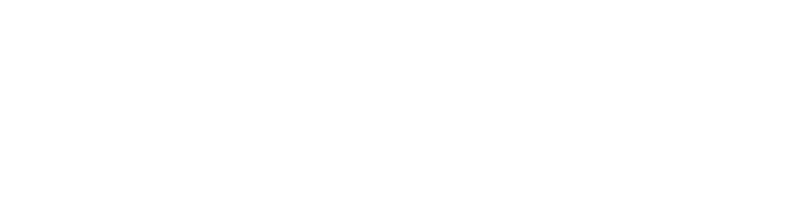 Dream Space Renovation LLC logo